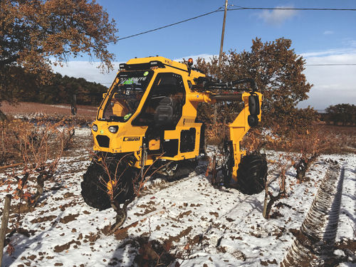 Портальный трактор - 3X3 EVO - GRV - гидростатический / для виноделия / с кабиной