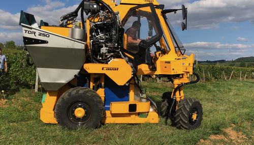 Самоходная машина для сбора винограда - TDR250 GRV - GRV
