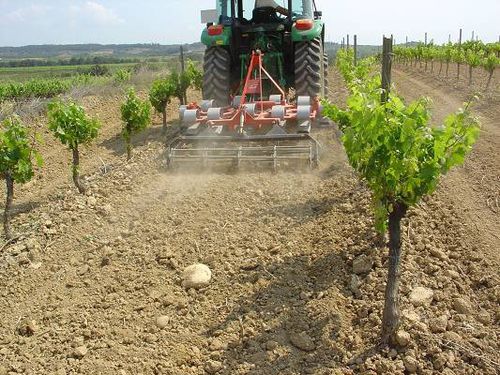 Навесной культиватор - CVPH series - Vila Maquinaria Agricola - складной