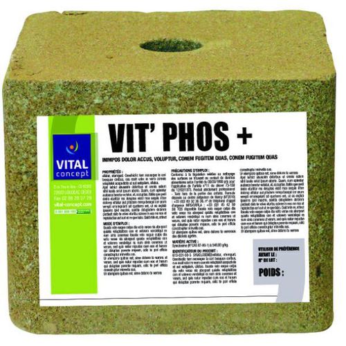 Лизунец для крупного рогатого скота - 11000003 - Vital Concept - с солью / с микроэлементами / с магнием