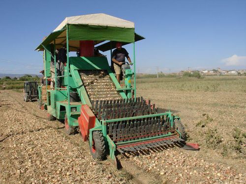 Уборочная машина для картофеля - HC - Argiles Maquinaria de Recolección ...