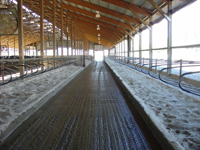 Коврик из бетона - Accu-step - Comfort Hoof Care - для разведения КРС / противоскользящий