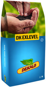 Полураннее семена кользы - DK EXLEVEL - DeKalb - устойчивое к фомозу / гибридное / устойчивое к полеганию
