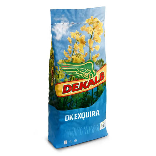 Полуранний семена кукурузы - DK EXQUIRA - DeKalb - для силосования / зерна / гибридный