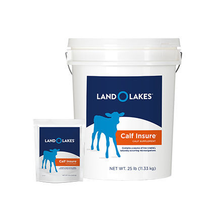 Кормовая добавка для животных - Calf Insure® - Land O'Lakes Animal Milk Products Co. - для телят / витамины / минералы