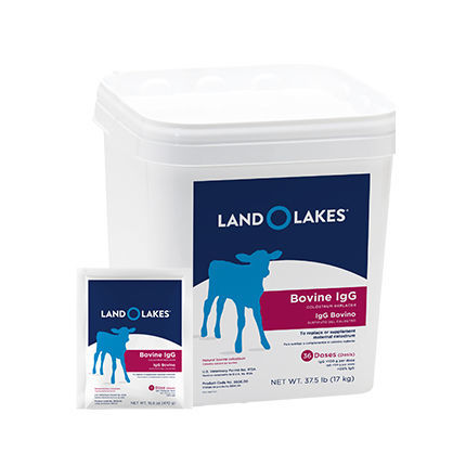 Порошковый колострум для телят - Bovine IgG - Land O'Lakes Animal Milk Products Co. - в форме порошка
