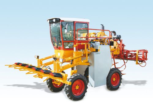 Самоходная машина для срезания листьев - S4C - Castrix - 4 ряда / 6 рядов