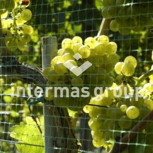 Сетка для защиты от птиц - EASYNET Series - INTERMAS - из полиэтилена / для лесоводства
