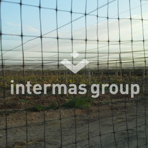 Сетка для защиты от птиц - DIFENGREEN Series - INTERMAS - из полиэтилена / для лесоводства