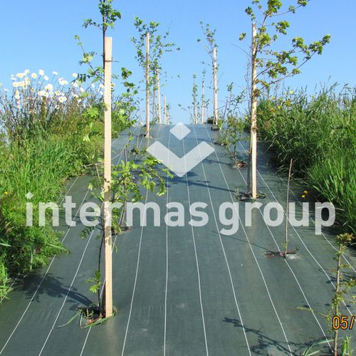 Пластиковая мульча - AGROSOL Series - INTERMAS