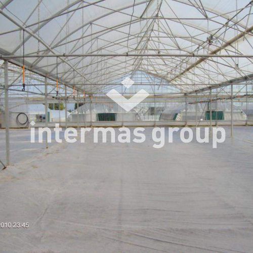Пленка для теплицы - INTERMAS