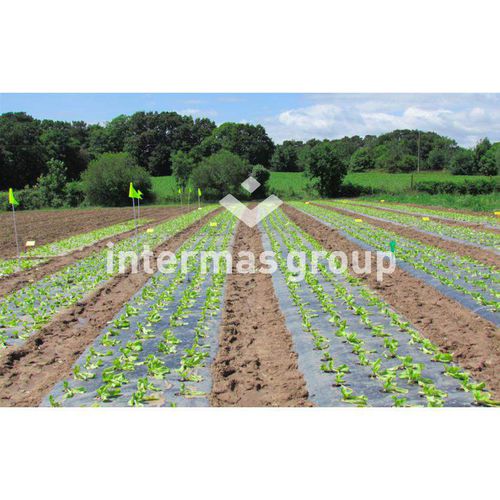 Пленка для покрытия почвы - INTERMAS - для защиты от УФ / перфорированная / биоразлагаемая