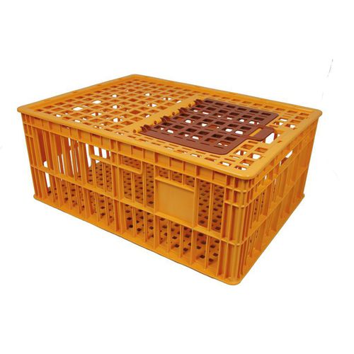Клетка для транспортировки для кур - CVC320800-OR - GAMMA WOPLA - из пластика