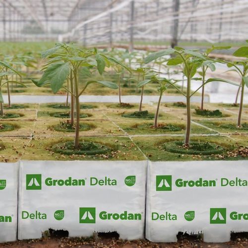 Субстрат растений минеральная вата - Delta NG2.0 - GRODAN - блоки земли / волокнистый