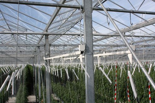 Программатор полива для теплицы - ProDrain - HORTIMAX
