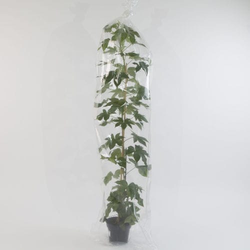 Защитная сетка - OERLEMANS PLASTICS BV - для упаковки / из пластика / для сада