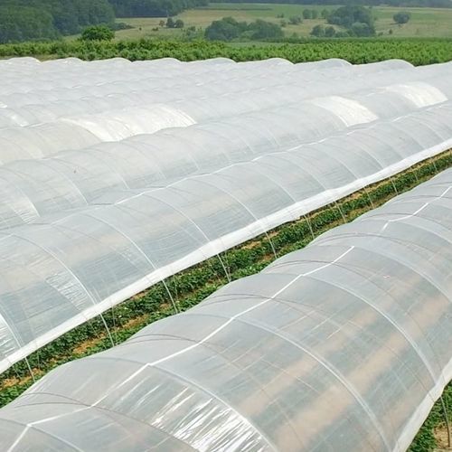 Пленка для теплицы - EURO® CRYSTAL - FVG Folien Vertriebs GmbH - для защиты от УФ