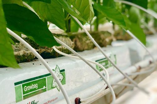 Гидропонная сумка для растений - High Yield - Jiffy Products International BV
