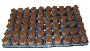 Субстрат растений кокосовый торф - Coco Plugs™  - Sivanthi Joe Substrates P Ltd. - пробка / блоки земли