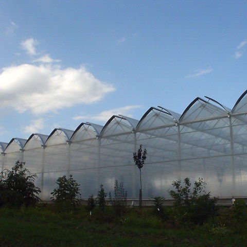 Теплица с несколькими сводами - Cabrio Top Air - VERMAKO GREEN HOUSES - венло / из пластика / алюминиевая конструкция