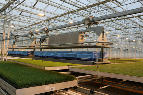 Полуавтоматическая система транспортировки садовых растений - Monorail - Visser Horti Systems - автоматическая / для цветочных горшков / для ячеек с растениями