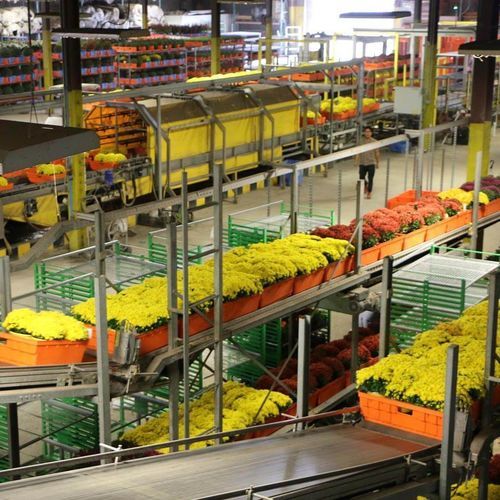 Автоматическая система транспортировки садовых растений - Visser Horti Systems - для цветочных горшков / для ячеек с растениями / для теплицы