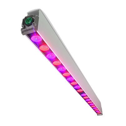 Освещение для растениеводства - GreenPower - Philips Horticulture LED Solutions - LED