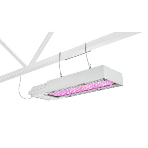Освещение для растениеводства - GreenPower Compact - Philips Horticulture LED Solutions - LED / диммируемая