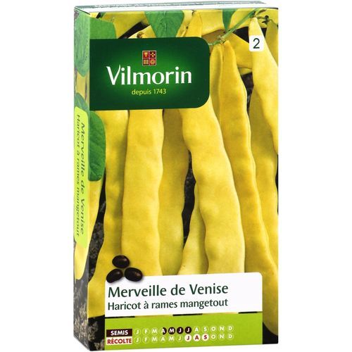 Позднее семена бобов - Merveille de Venise - Vilmorin Jardin (Vilmorin Garden/ VDB) - вьющееся растение / желтое