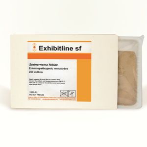 Нематод против трипсов - Exhibitline Sf - Bioline Agrosciences Inc/Bioline Canada Inc - против мошкары / взрослый