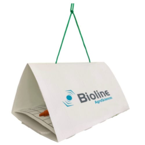 Ловушка для насекомых - Delta - Bioline Agrosciences Inc/Bioline Canada Inc - феромонная / для культуры
