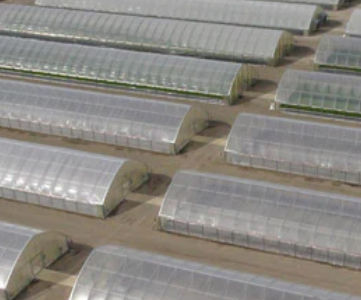 Туннельная теплица - Cold Frame series - Conley's Manufacturing & Sales - из пластика / со стальной конструкцией