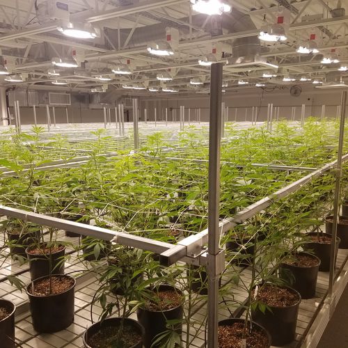 Опора для растений из гальванизированной стали - Innovative Growers Equipment Inc
