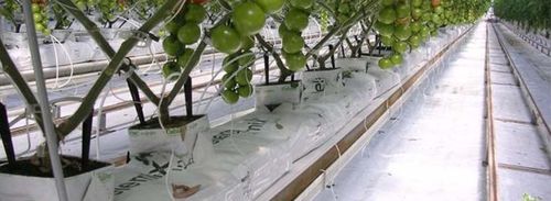 Субстрат растений кокосовое волокно - GROWBAG - Pelemix Ltd - в мешке