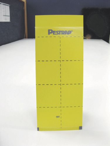 Ловушка для насекомых - Pestrap™ Medium - Phytotronics Inc - для клея