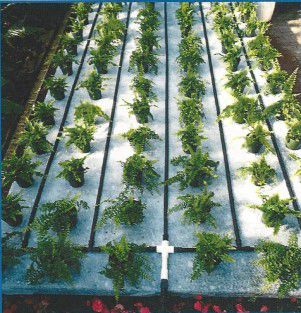 Капиллярная система капельного полива - Capmat II Capollary Matting - Phytotronics Inc - матовая