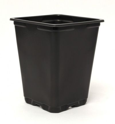 Горшок из пластика - 2 Quart - Summit Plastic Company - квадратный / черный