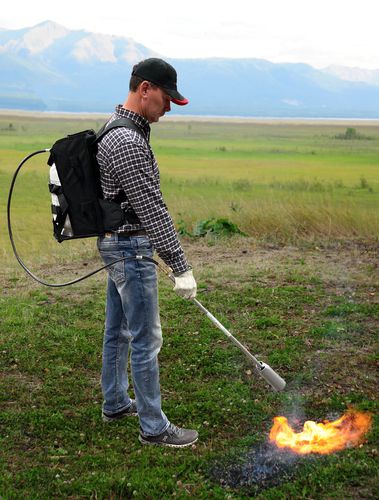 Прополочная машина без химических продуктов - BP223SVC - Flame Engineering, Inc. - пламенная / переносная