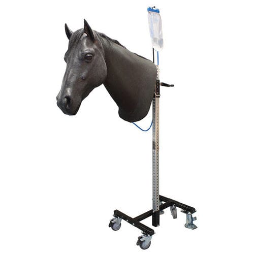 Ветеринарный тренажер для лошадей - IM - Veterinary Simulator Industries Ltd. - головы