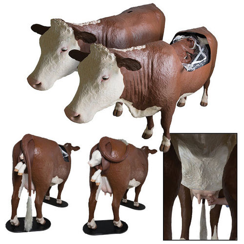 Ветеринарный тренажер для затрудненных родов - Hereford - Veterinary Simulator Industries Ltd. - для медицинского ухода / для коров / всего тела