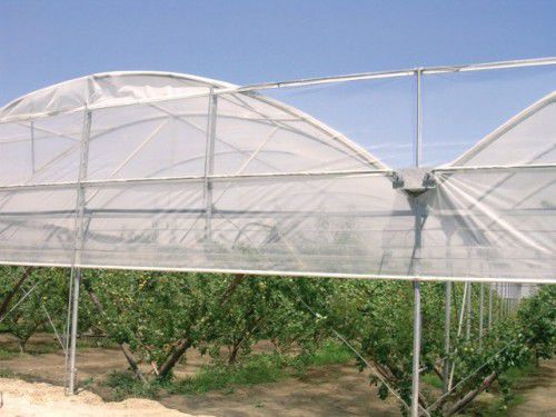Пленка для теплицы - Multisolar 33 - ANIPLAST Srl - из пластика / термический эффект