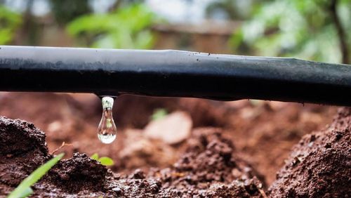 Шланг для капельного полива - DA series - ARDENT PLASTIK SAN.VE TIC.LTD.STI - цилиндрический