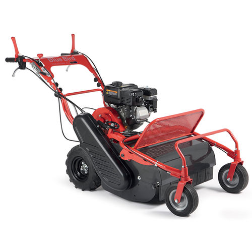 Мульчер толкаемого типа - FM 600 - BLUE BIRD INDUSTRIES FABBRICA MOTORI Srl - с молотками