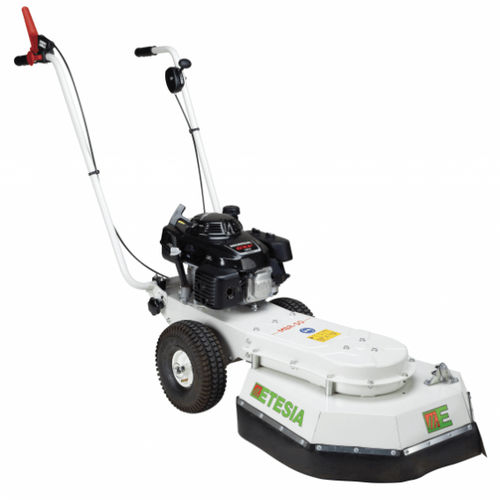 Термическая прополочная машина - MBR50  - ETESIA - толкаемого типа / между рядов / с щеткой