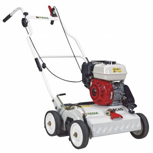 Скарификатор толкаемого типа - MSC45 - ETESIA - с бензиновым двигателем