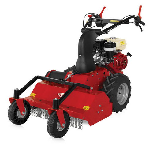 Косилка толкаемого типа - FTR750 - FORT Srl Unipersonale - с молотками