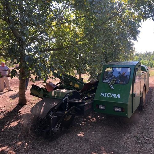 Вибратор для сбора урожая для орехов - N3 - SICMA srl - самоходный / механический