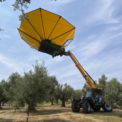 Вибратор для сбора урожая для оливок - Sicma & Agri Farmer 30.7 Dieci - SICMA srl - самоходный / гидравлический / низкий вал