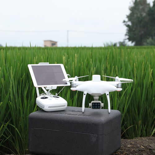 Сельскохозяйственный дрон вертолетного типа - DJI PHANTOM 4 MULTISPECTRAL - Aermatica3D srl (AERMATICA3D) - с восемью роторами
