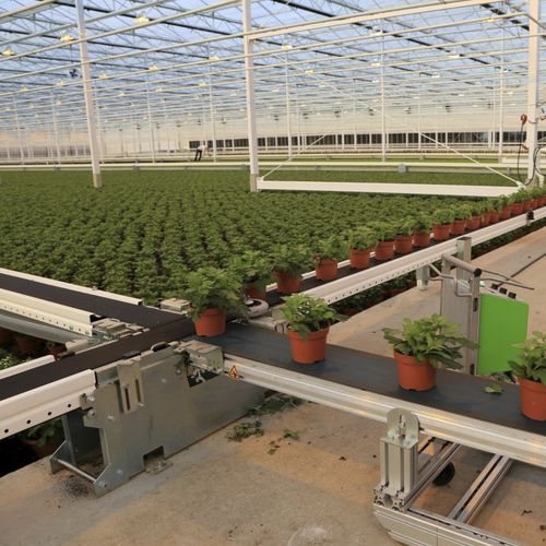 Конвейер для контейнера - SmartFlo Conveyor belt system - WPS - ленточный